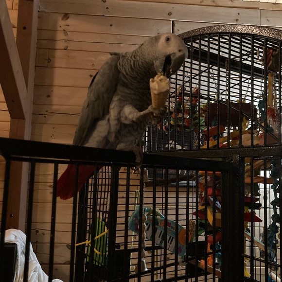 Meet your Posher, Katherine - Picture 11 of 14